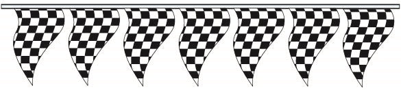 POLY CHECKERED - TRIANGLE PENNANTS