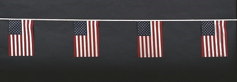 AMERICAN PENNANTS - POLY