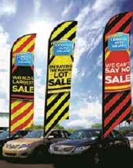 CUSTOM FEATHER FLAGS - PADDED FLAG & POLE STORAGE